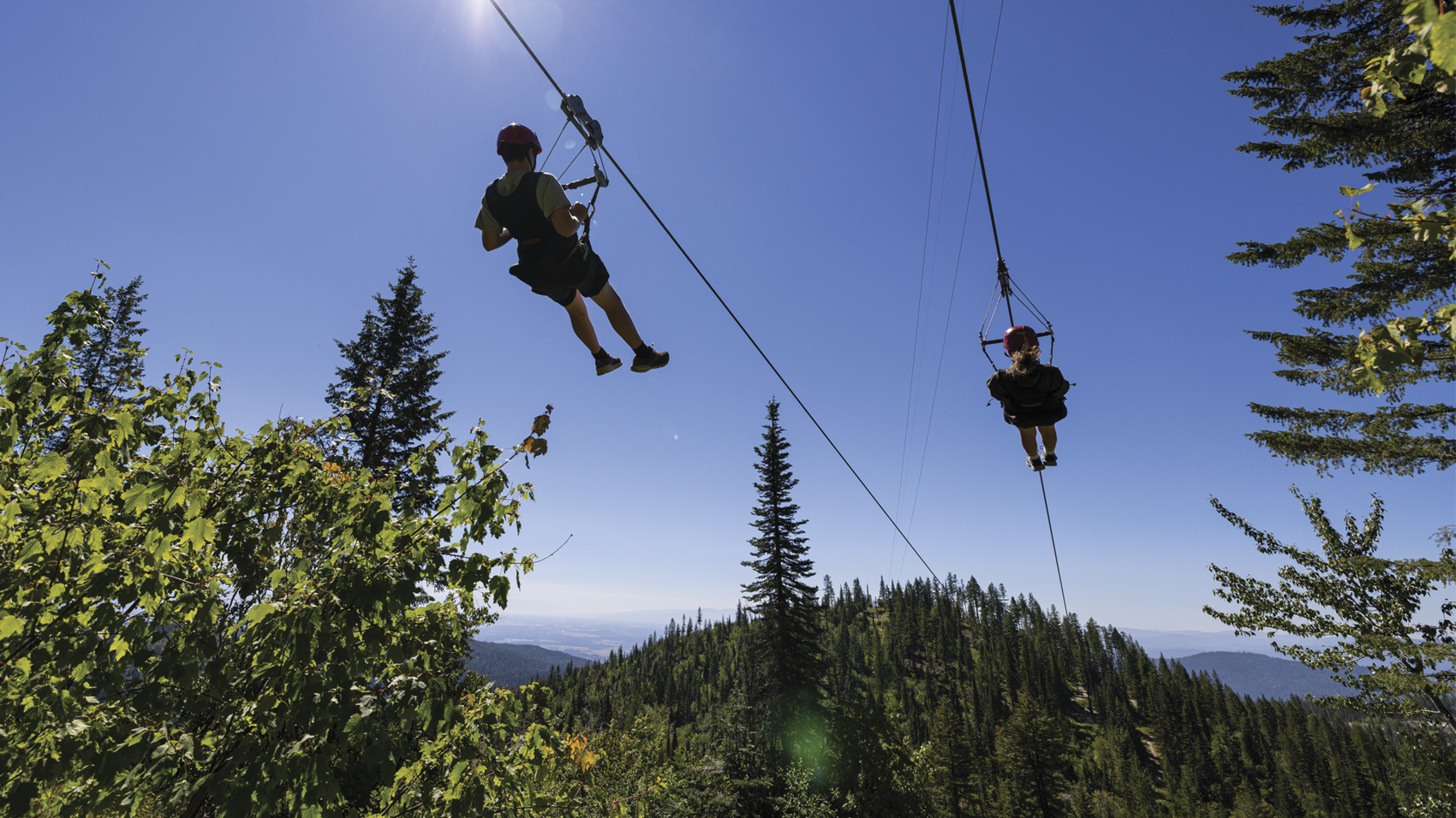 Picture of Zip Line Tour